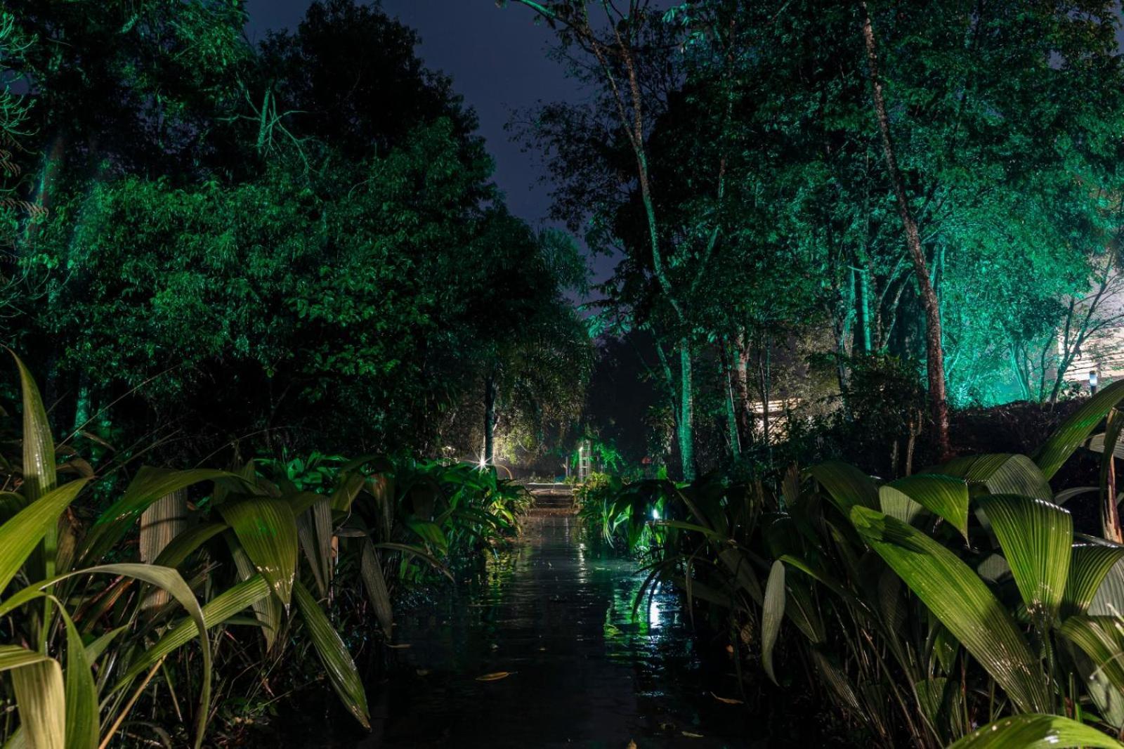 Rainforest Hotel & Cabanas Puerto Iguazú Zewnętrze zdjęcie
